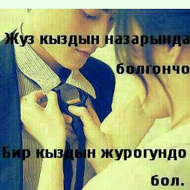 Цитата кыргызча уй було Цитата кыргызча уй було